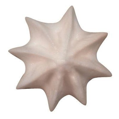 De Buyer Stainless Steel Star Nozzle (A8) - De Buyer UK