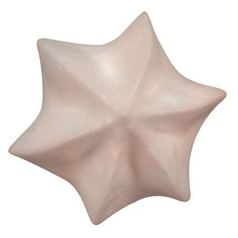 De Buyer Stainless Steel Star Nozzle (C6) - De Buyer UK
