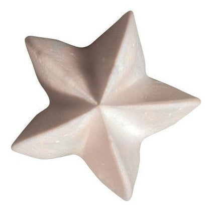 De Buyer Stainless Steel Star Nozzle (F5) - De Buyer UK